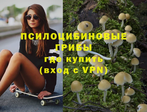 ПСИЛОЦИБИНОВЫЕ ГРИБЫ Киренск