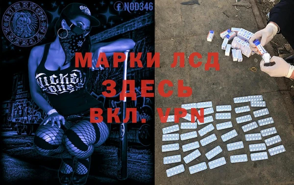 ПСИЛОЦИБИНОВЫЕ ГРИБЫ Киренск