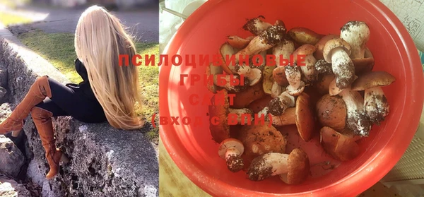 спиды Кинешма