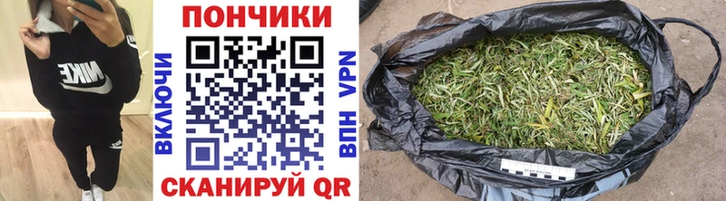 Каннабис конопля  Купить где  Короча 